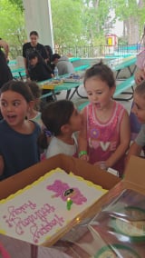 Birthday Party at Lakeside Amusement Park